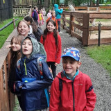 074a1753-32ea-4c69-9629-a6699bbc0d4e.jpeg